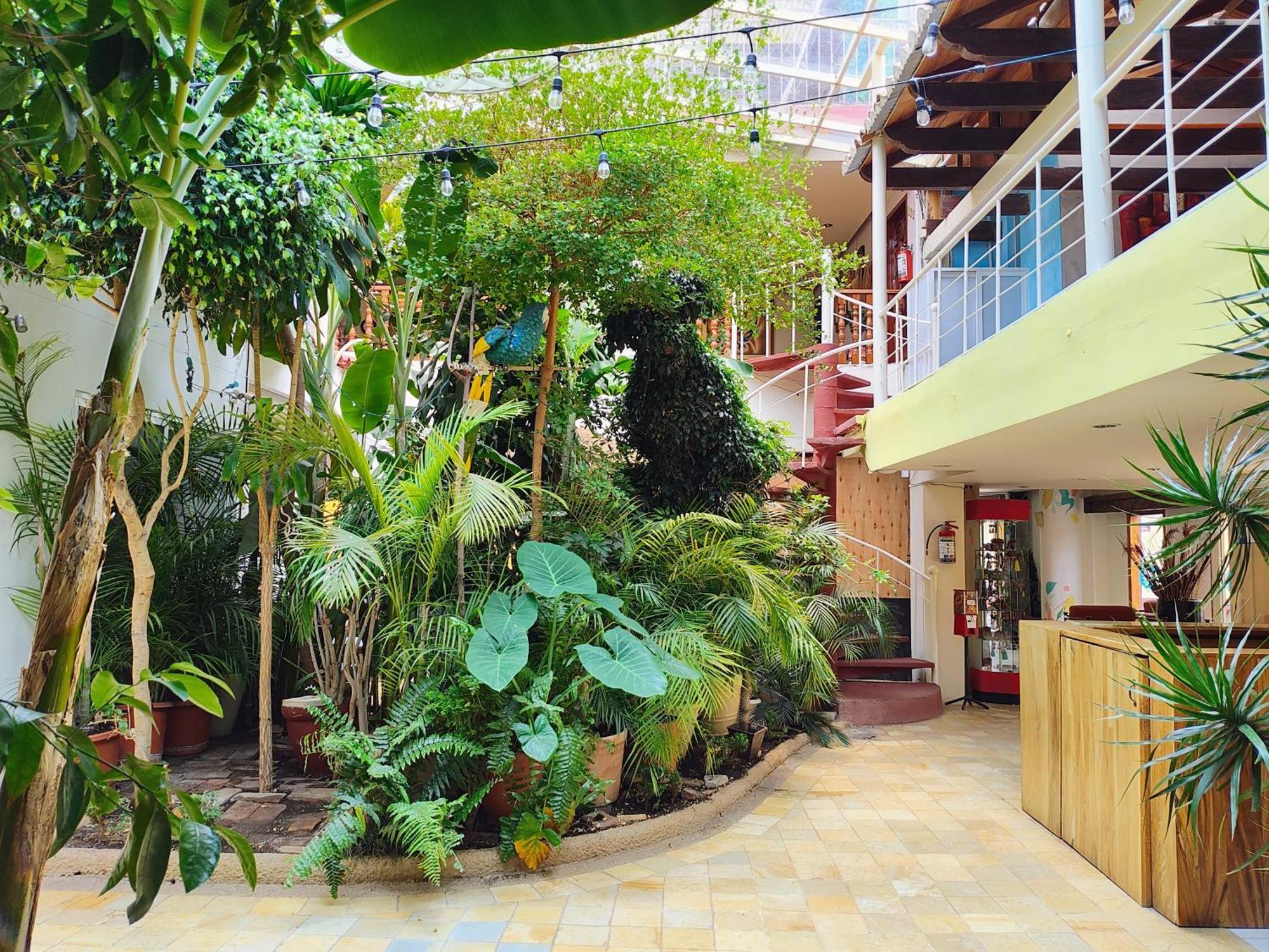 Hotel Barrio Antiguo San Cristóbal de Las Casas Eksteriør billede